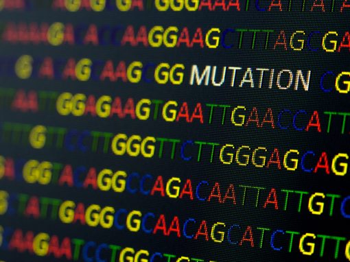 A-New-Standard-for-Submitting-Protein-and-Nucleic-Acid-Sequences Schlich Article