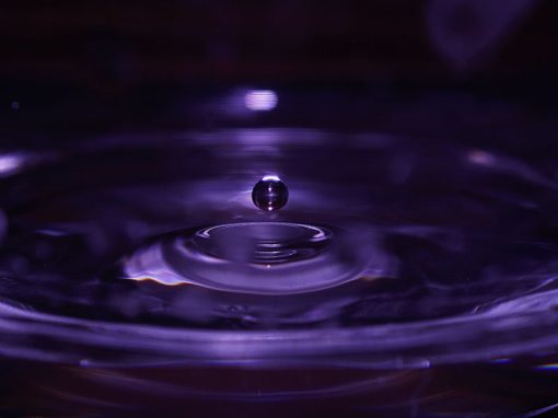 Cadbury’s Purple Reined In