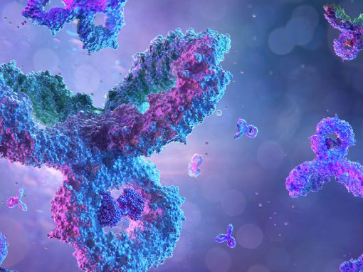 Eli Lilly And Company v Genentech, Inc – Can third party MAs be used by Patentees to seek SPC protection? Referral to CJEU