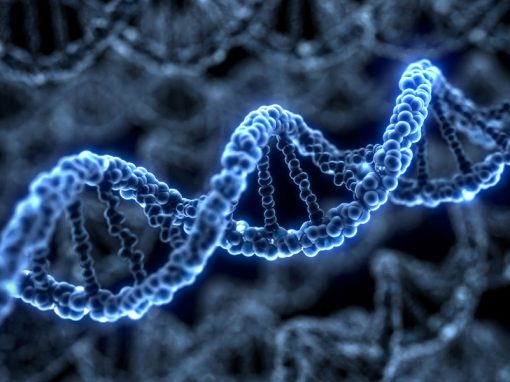 Is there a future for speculatuve gene patents Schlich Article