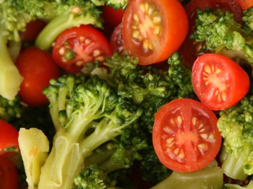 Patenting of Plants at the EPO Schlich Article