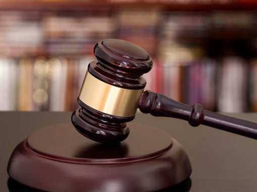 Petitions for Review Schlich Article