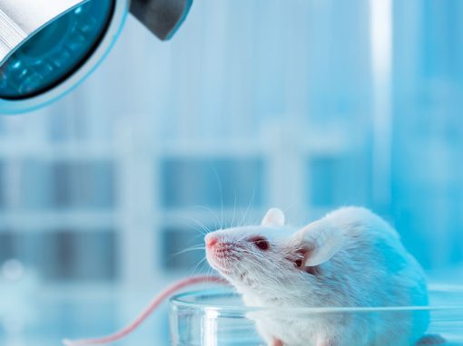 UK Supreme Court Clarifies the Enablement Requirement for Patents