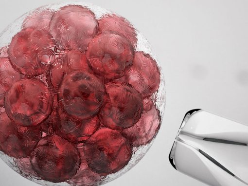Stem Cell Patenting in Europe Schlich Article