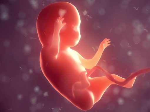 The Patentability of Human Embryonic Stem Cells in Europe