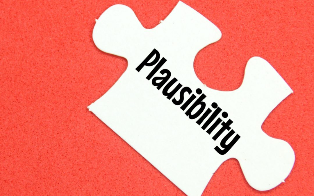 DECISION IN THE EBA PLAUSIBILITY REFERRAL (G2/21)