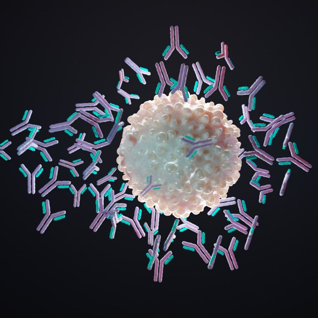 Antigen molecule