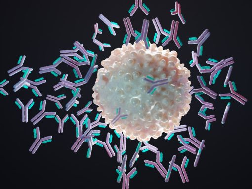 Antigen molecule