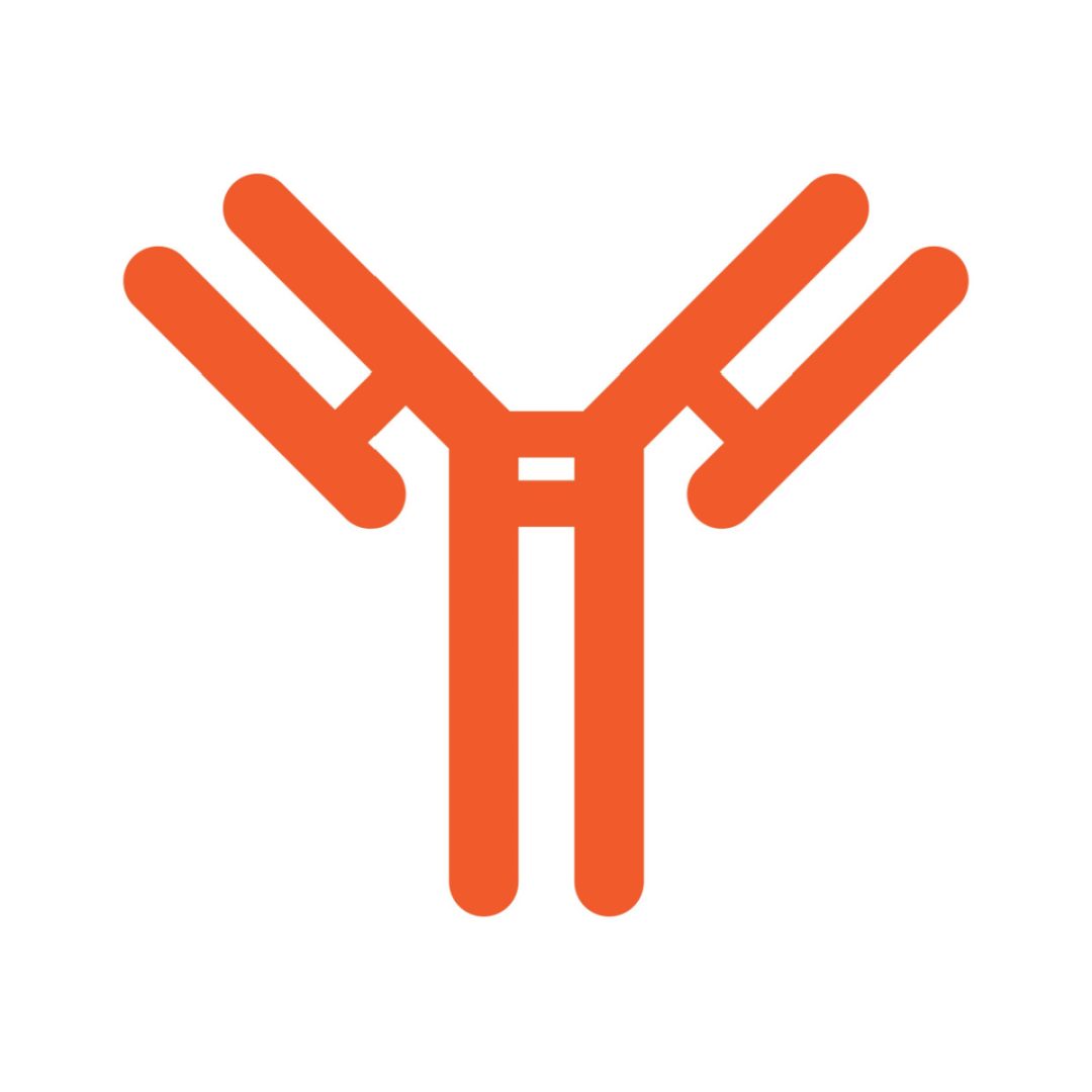 antibody graphic