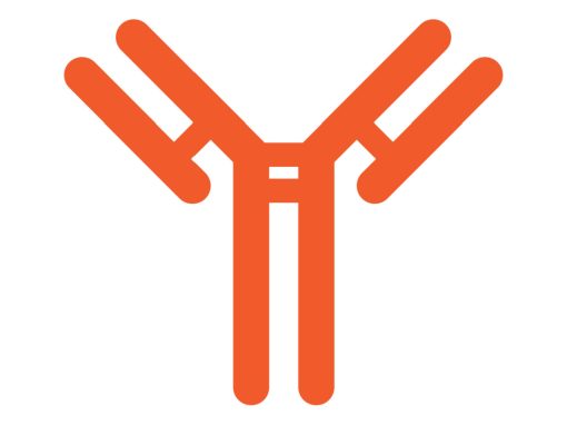 antibody graphic