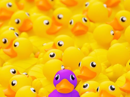 Purple rubber duck standing out in a group of yellow rubber ducks