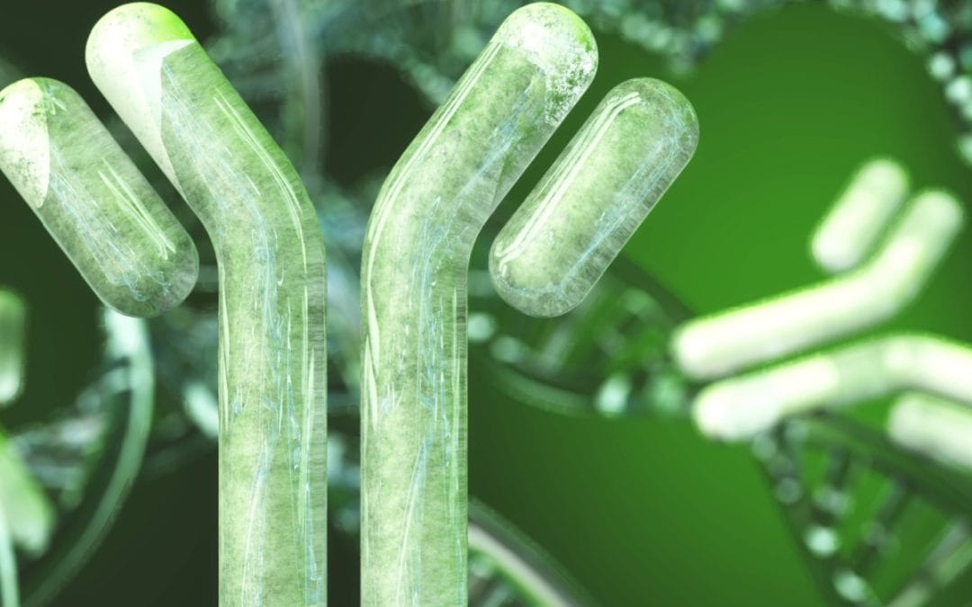 UPC Takes EPO Approach when Assessing Patentability of Broad Antibody Claims in Amgen v Sanofi