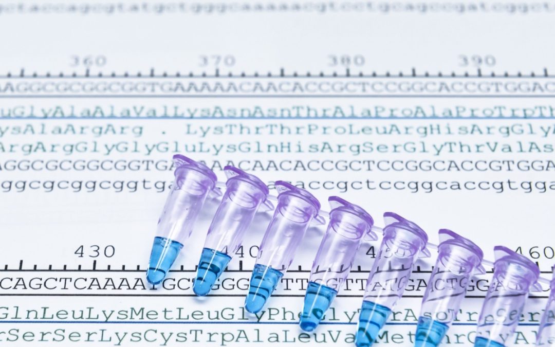 Sequence Identity Claims After T 0137/24: How Broad Is Too Broad?
