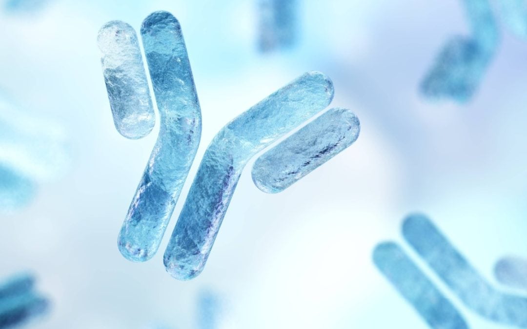 Teva v Eli Lilly: a different route for antibody genus claims?