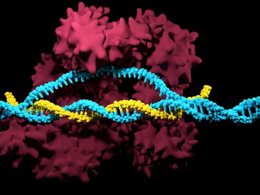 Broad Institute’s CRISPR/Cas9 Patent EP2771468 Revoked