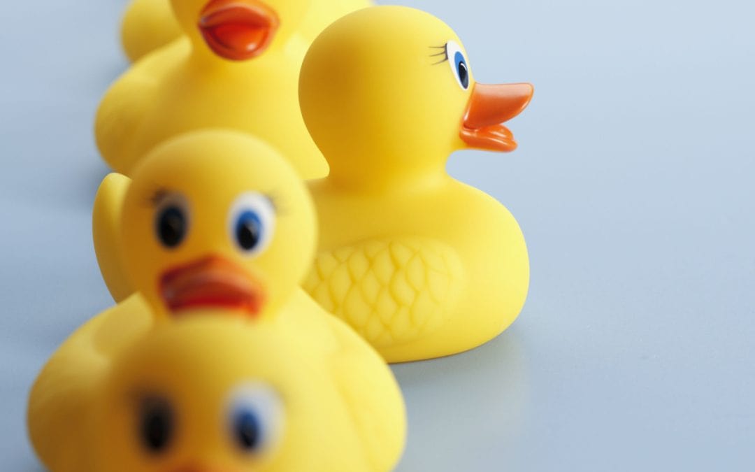 Description amendments at the EPO – Possible EBA referral in T56/21
